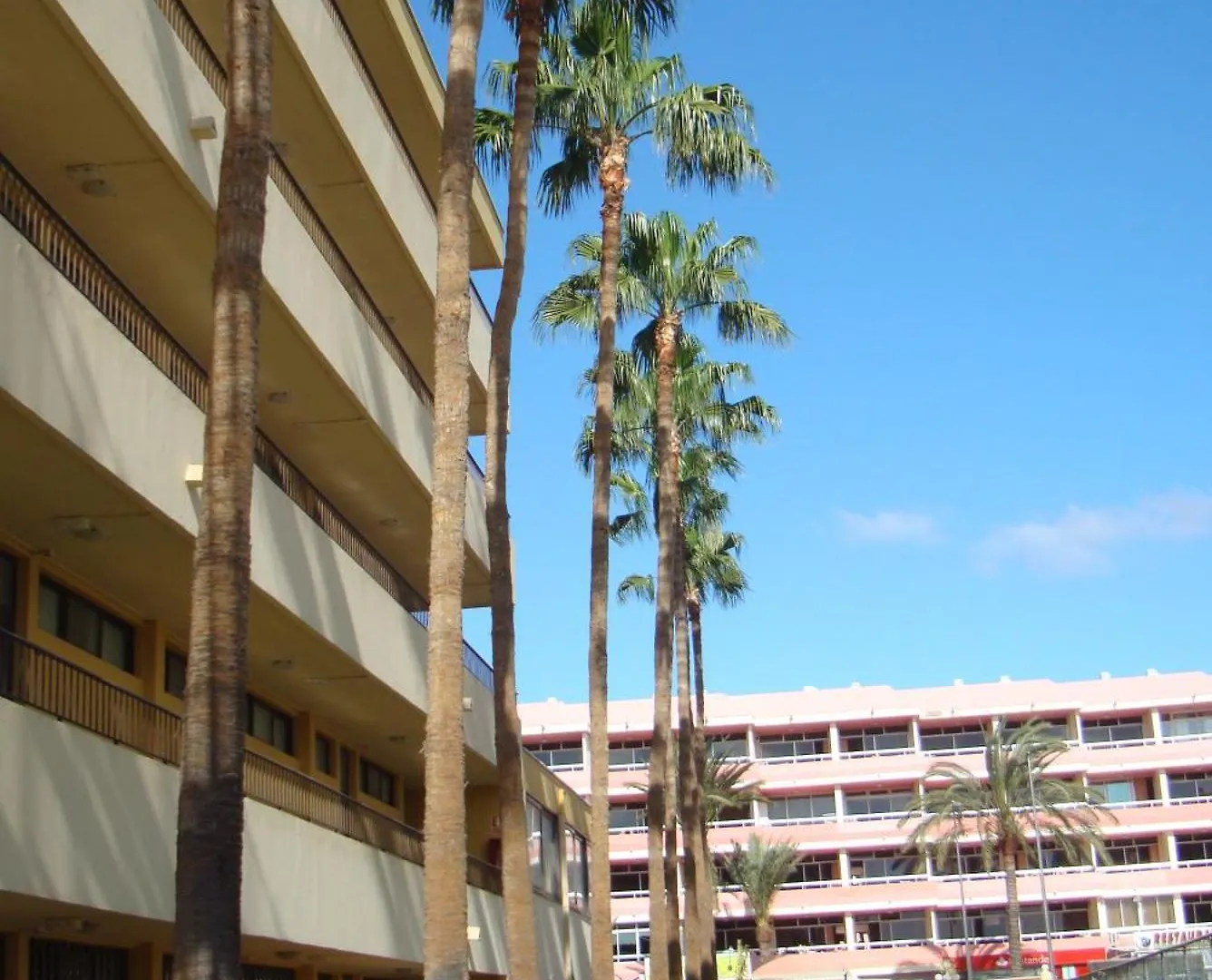 Apartment Los Cactus Playa del Ingles